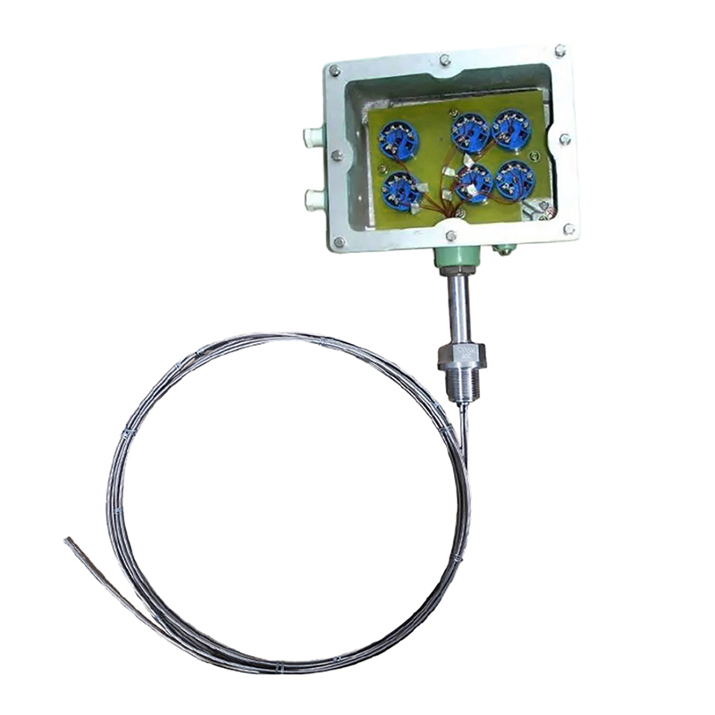 多點防爆熱電偶